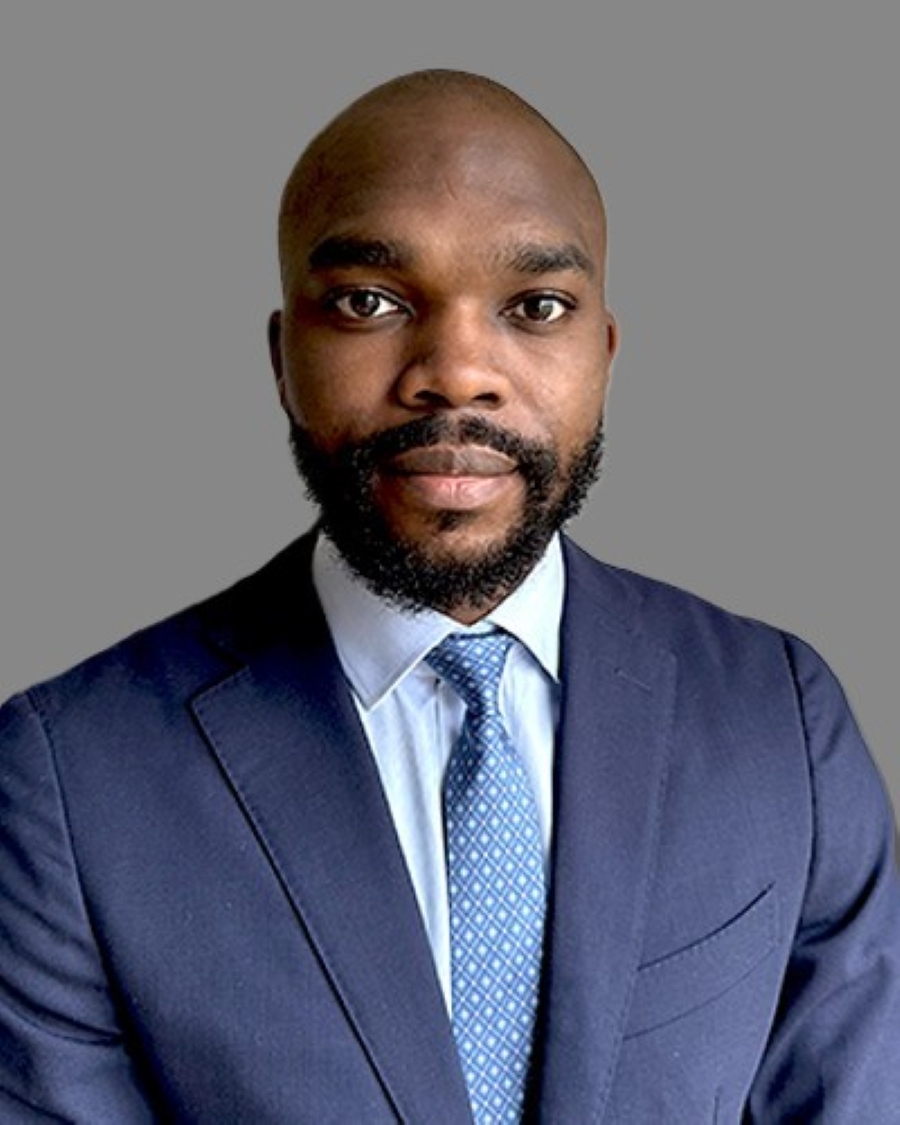 Mr. Michael Chineme Odumodu